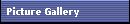 Picture Gallery