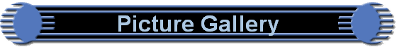 Picture Gallery